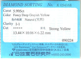 Fancy Deep Grayish Yellow Diamond (5.99 cts)